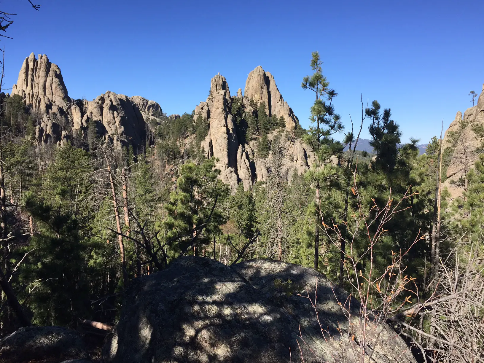 Rock spires rise above the green, pine forest, all under a clear, blue sky
