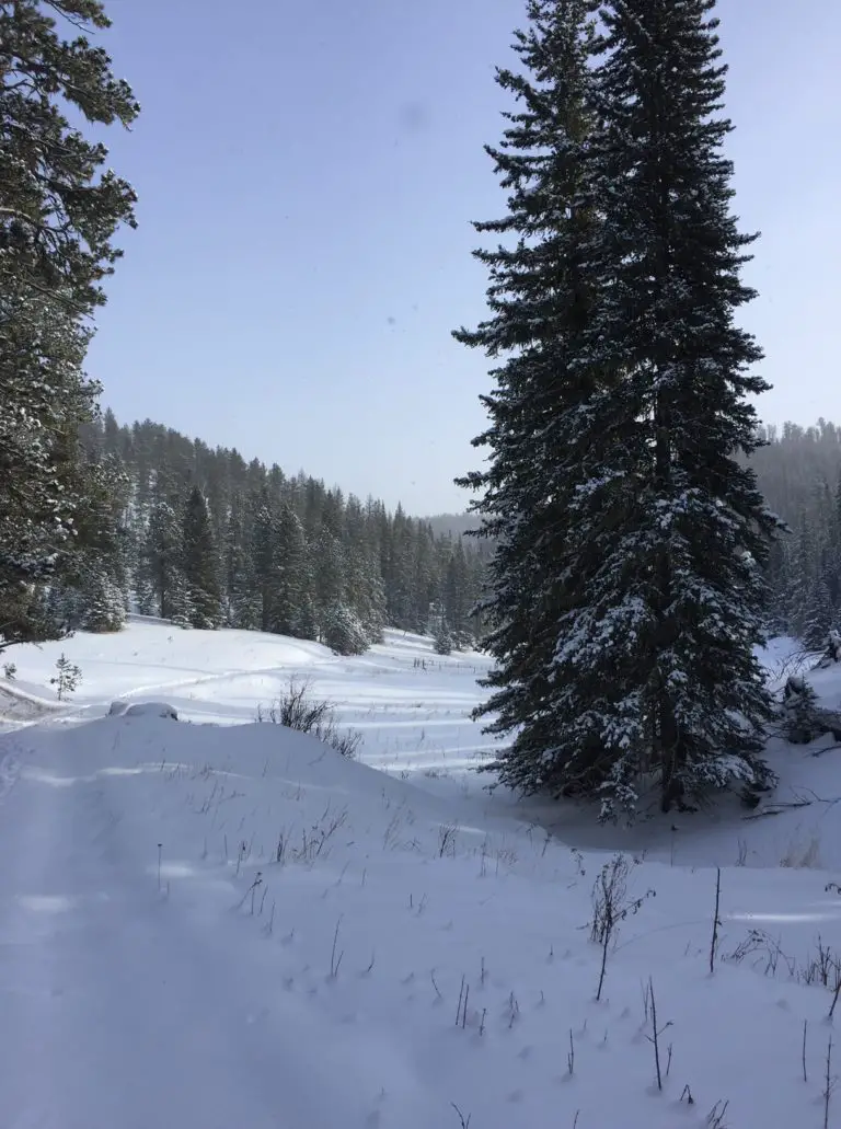 Winter Fun at Eagle Cliff Ski Area : Tranquil Trekker