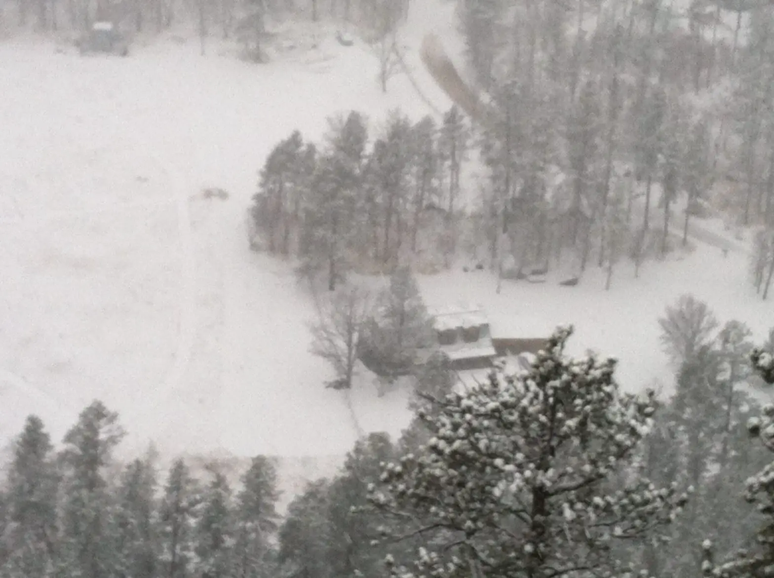 View from above of a snowy valley floor with the tops of pine trees covered in snow. A house sits in the middle of a meadow, The whole picture is obscured with flying snow.