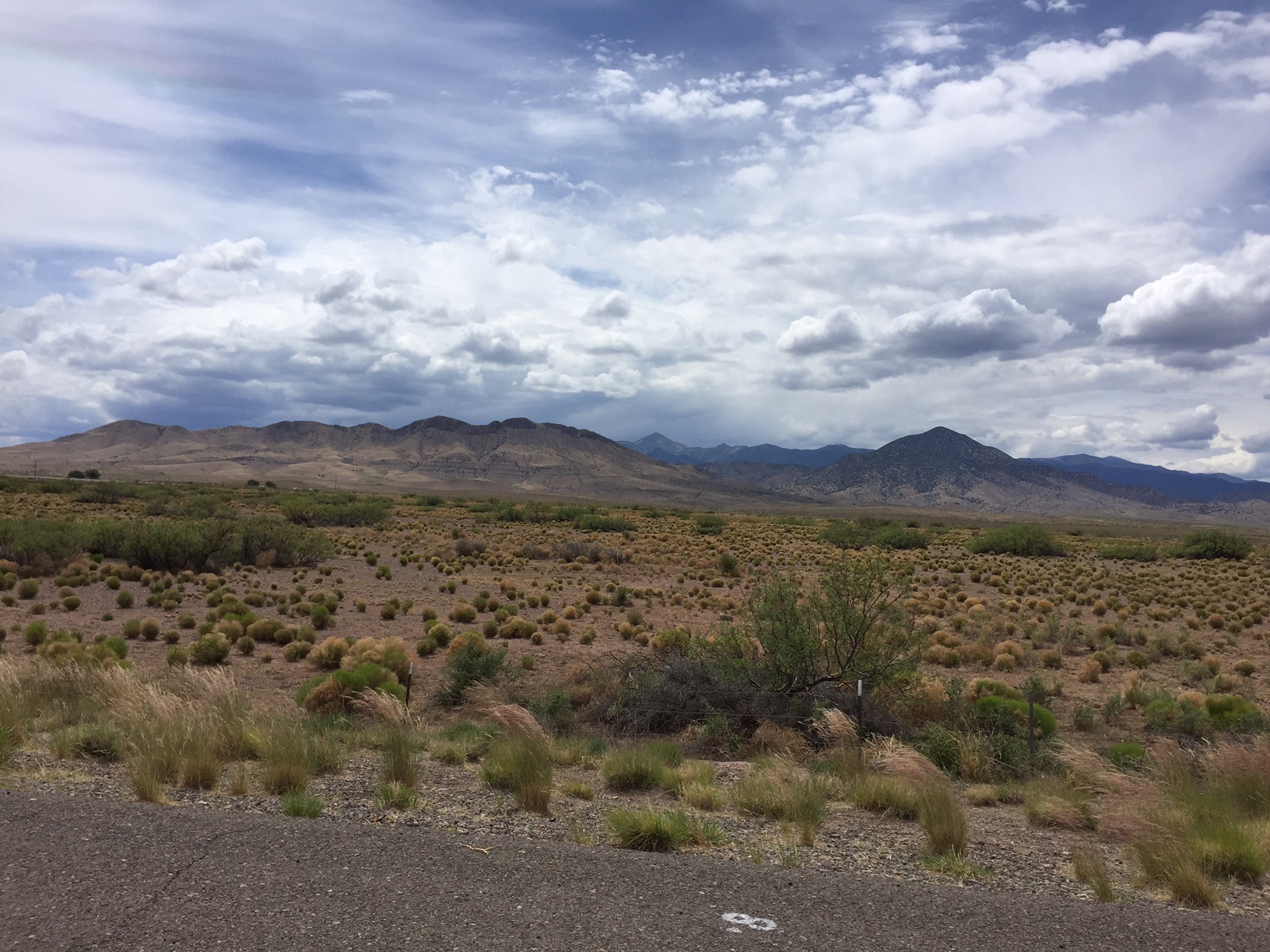 Desert scrubland in the foreground leads to dark mountains in the far background
