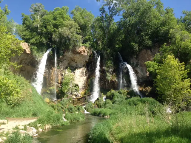 Three small, short waterfalls cascade over rocks covered by trees into a pool of water surrounded by green grass