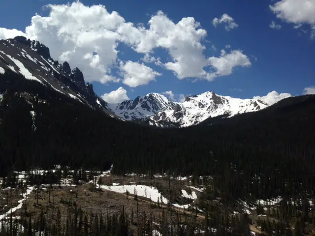 Tall, snow-peaked, rocky mountains with pine trees and grass in the foreground.