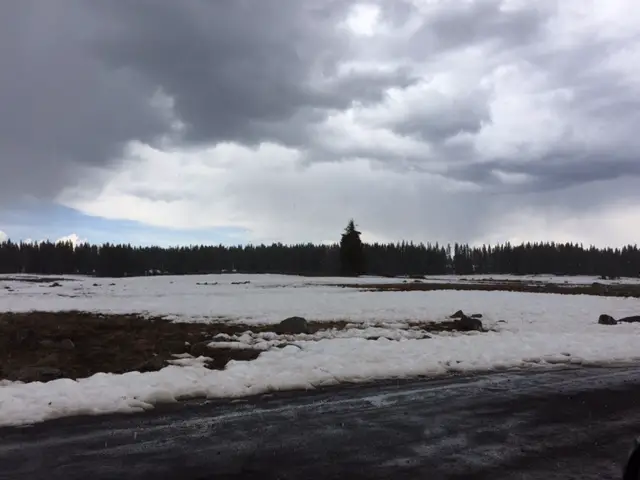 A snowy field with gray, cloudy skies