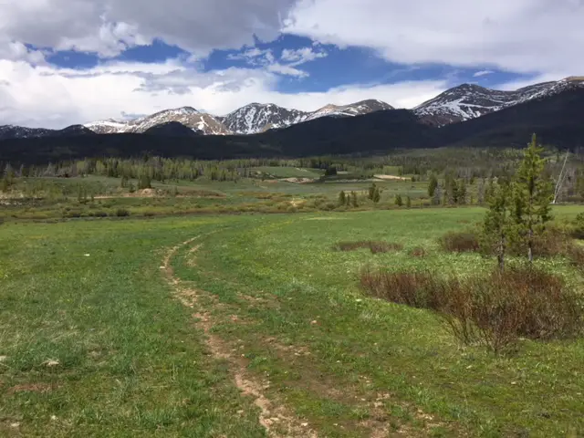 A green meadow with snowy mountains in the background