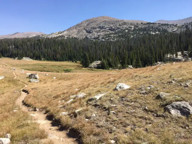 A trail meanders through a rocky meadow. A large, rocky mountain can be seen in the background.