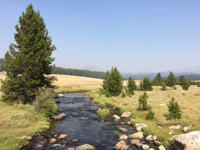 A creek runs through a meadow scattered with trees. Mountains can be seen looming through the haze in the background.