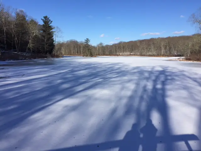 A white, snowy expanse of a frozen lake is surrounded by leafless trees. Long shadows of trees and two people cover the lake surface.