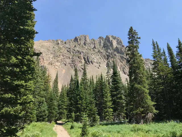 A dirt path traverses a gassy area surrounded by tall pine trees. A rocky, craggy mountain is in the background