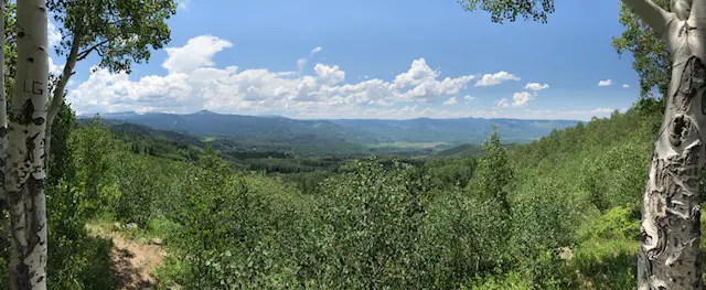 Green, tree-covered mountains spread to the horizon. The foreground is framed between two, leafy aspen trees