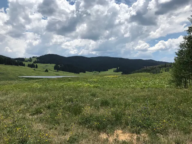 A green, grassy meadow with a lake barely visible behind. Green, tree-covered mountains are in the background