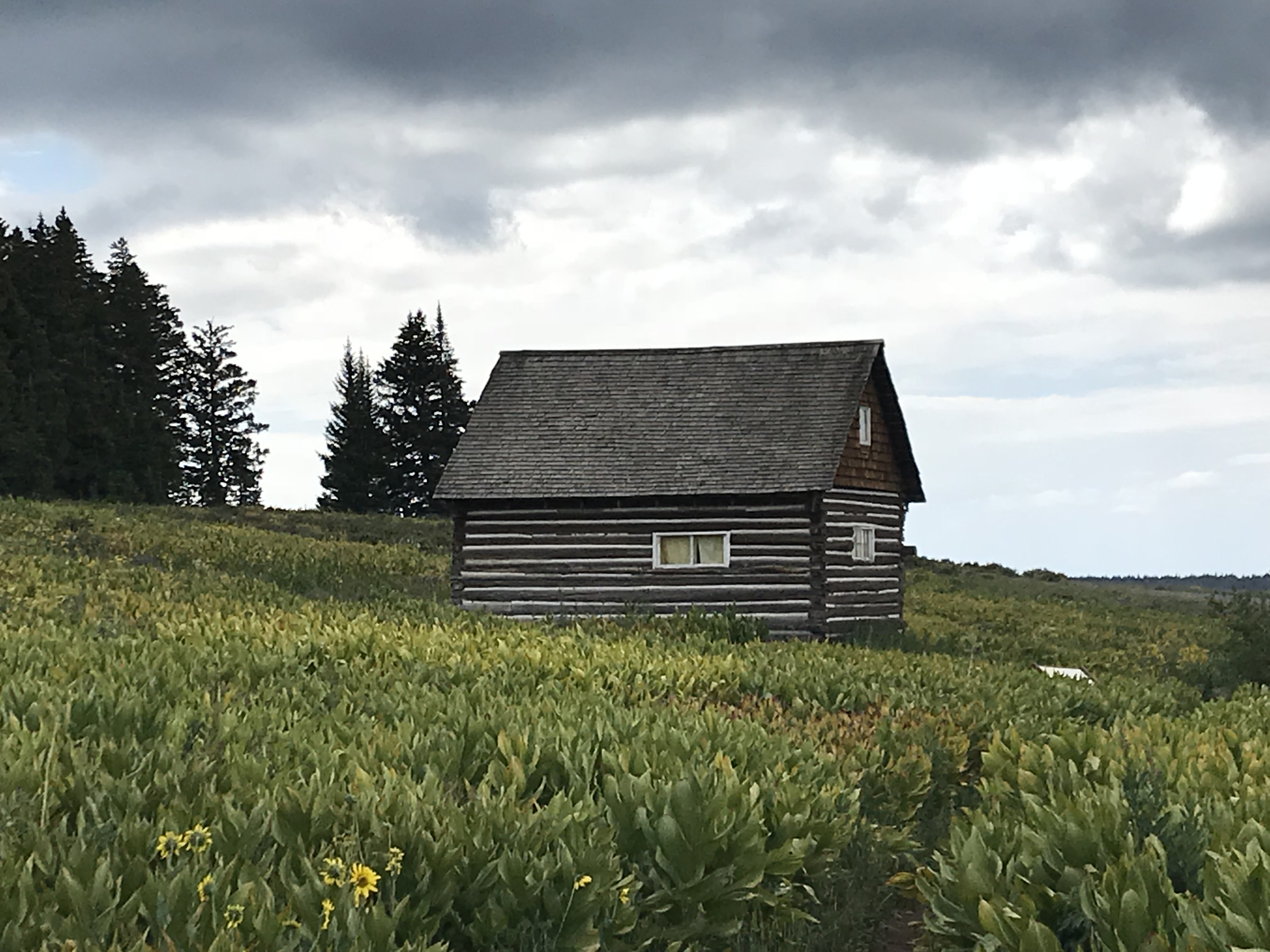 A two-story cabin sits amongst tall, green grasses. It is a grey, cloudy day