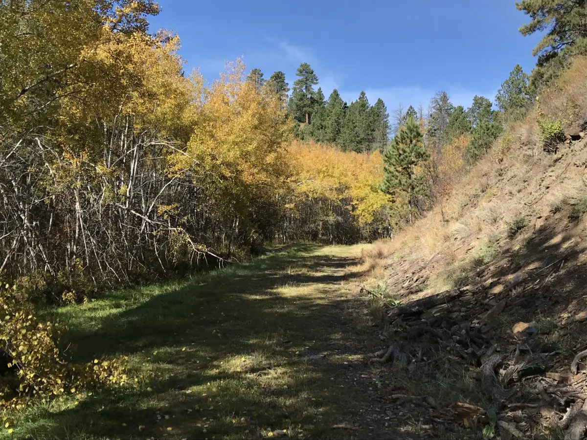 Deerfield Trail (Trail #40) in the Black Hills