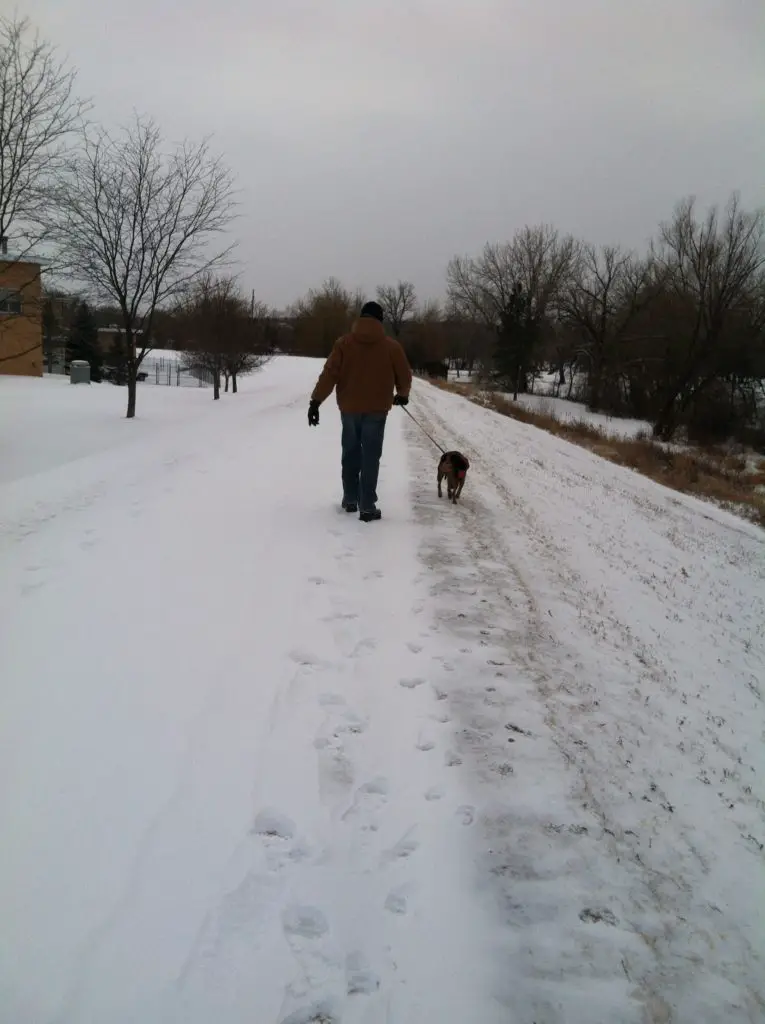 (View from the rear) Dog walks down a snowy trail in front of a man