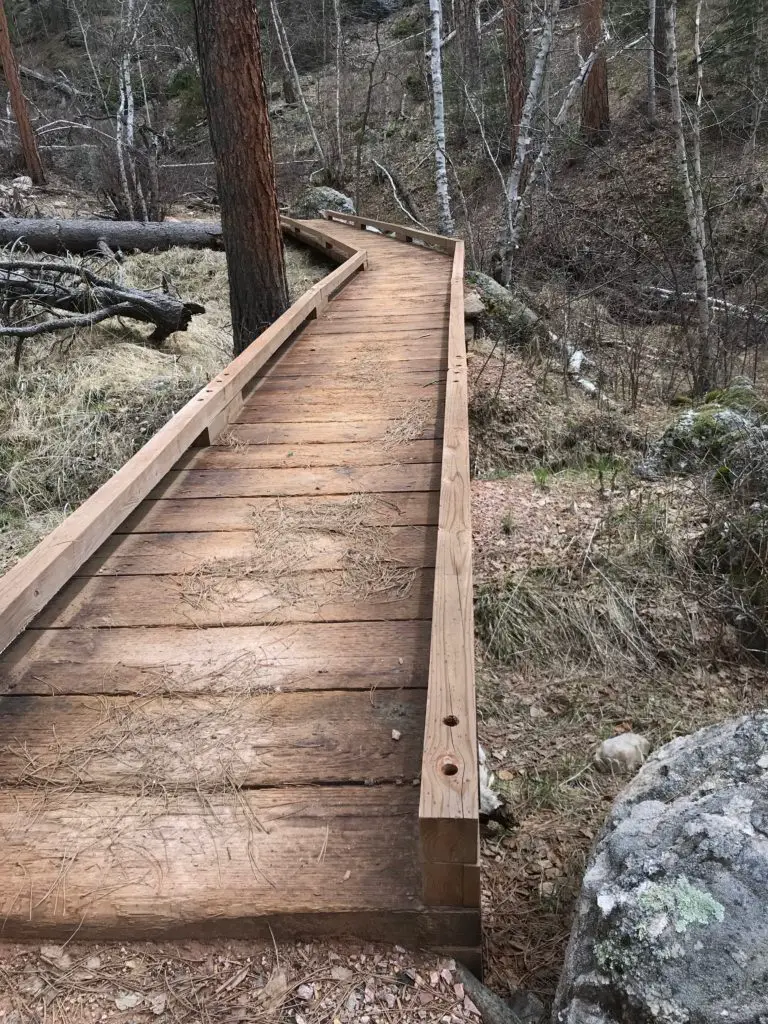 A boardwalk traverses the forest floor