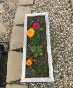 A potting container with flowers sits on gravel