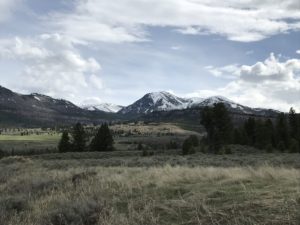 Opening Weekend on Beartooth Pass : Tranquil Trekker