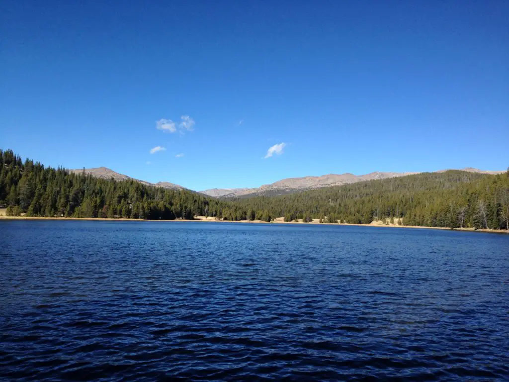View across a blue lake that is surrounded with pine trees with rocky mountains in the background, all under a clear, blue sky
