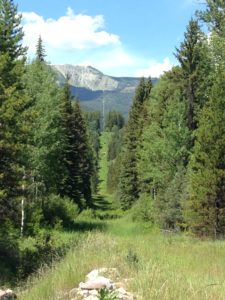 A wide path through the woods runs to tall mountains on the horizon