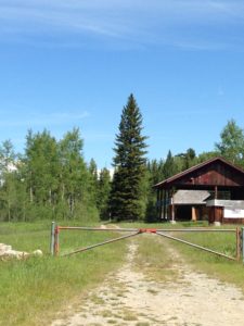 A simple, metal gate over a dirt lane in front of an old barn and trees