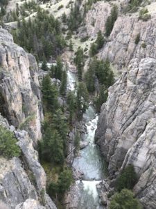 View from above into a rocky canyon with pine trees and a river far at the bottom