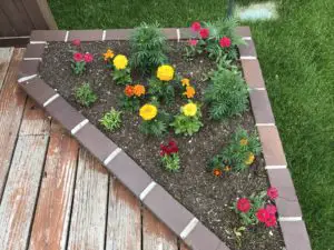 A cornerside potting area with flowers on the corner of a deck