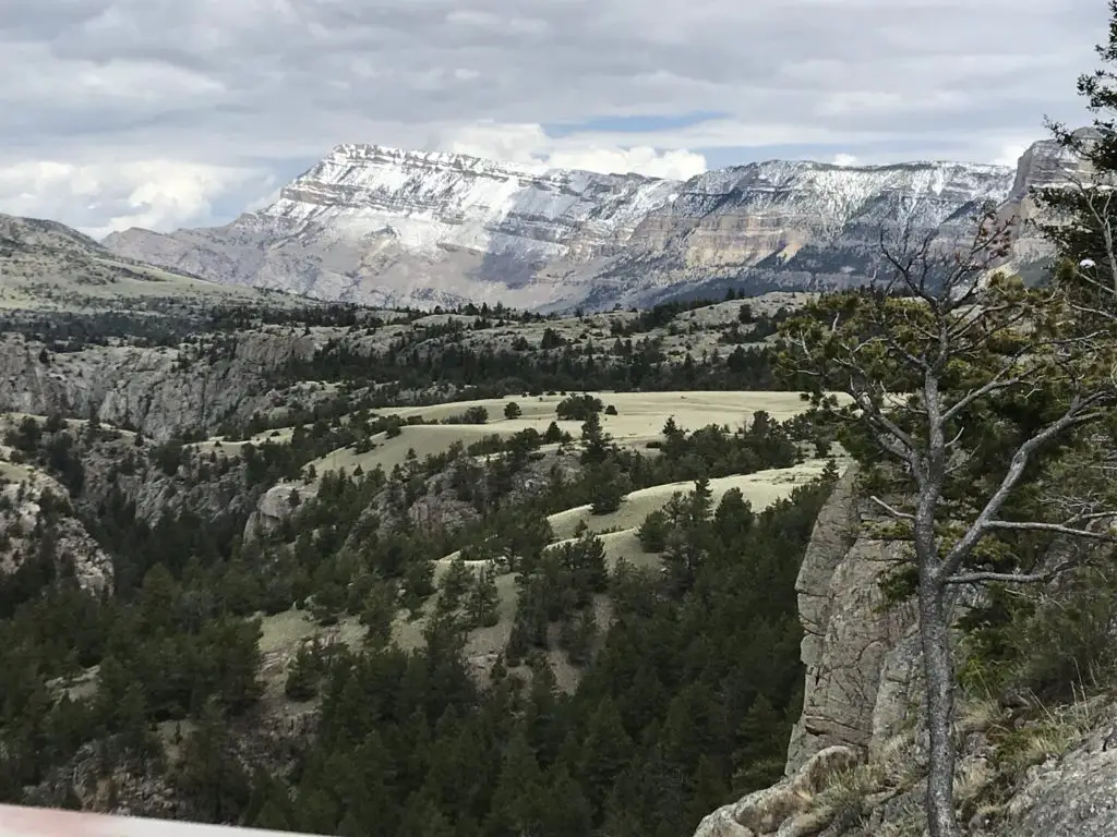 View overlooking a vista of a flatter pine tree and rock-covered area leading to snow-covered mountains in the distance