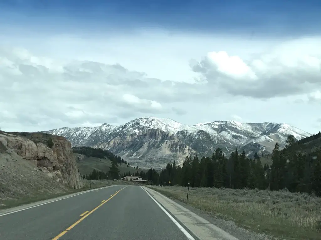 A paved road with rocks, grass and pine trees on both sides leads to snow-covered mountains in the distance