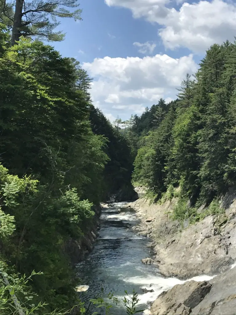 Looking down the length of a tree-lined gorge from eye level