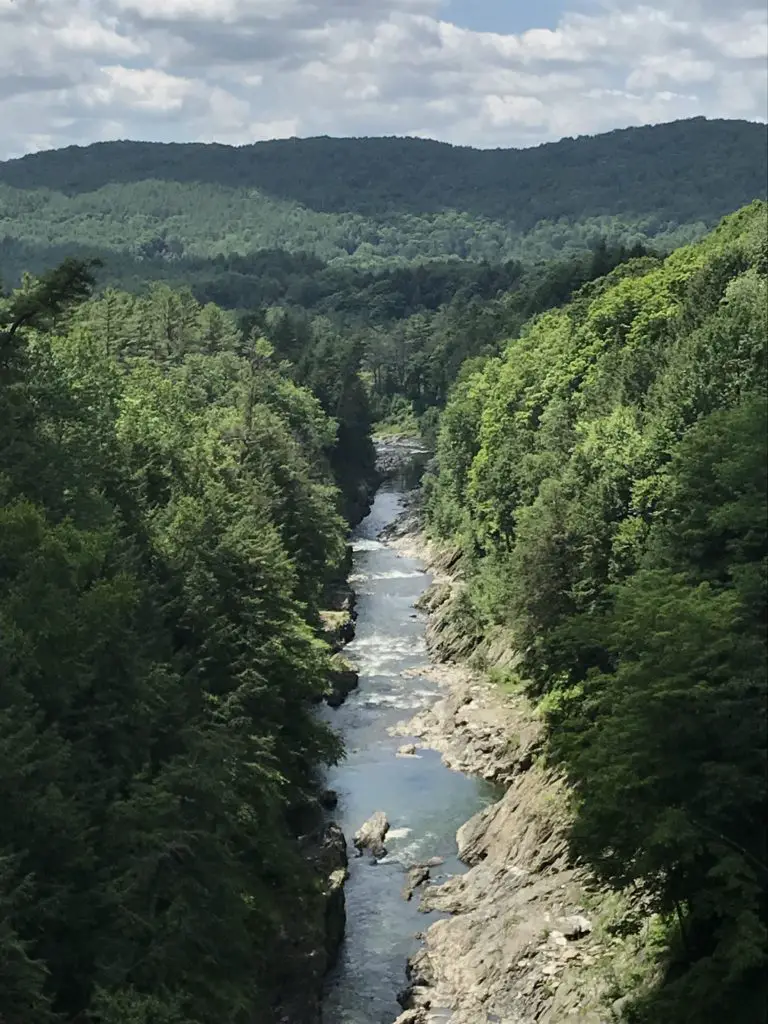 Looking down the length of a tree-lined gorge from above with tree-covered mountains in the background