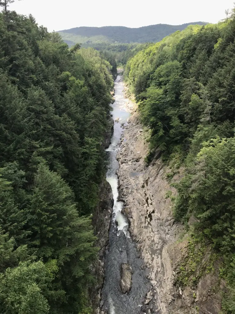 Looking down the length of a tree-lined gorge from above. Rocky walls lead to the river far below