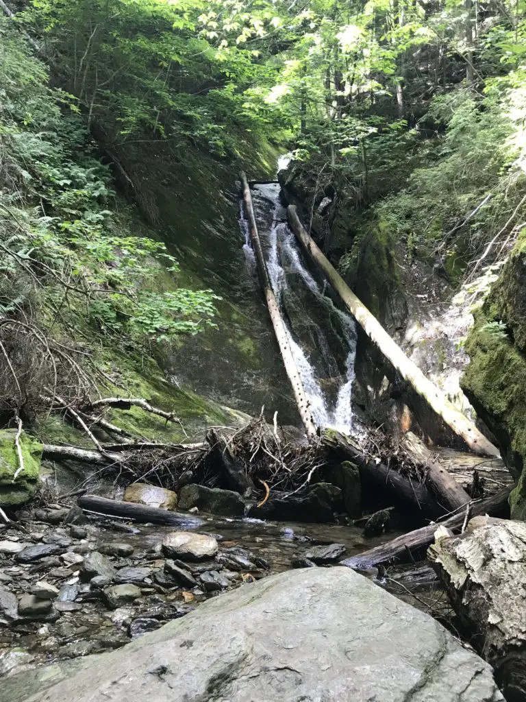 Small waterfall trickles down rocks into a rocky pool of water, surrounded by forest and boulders