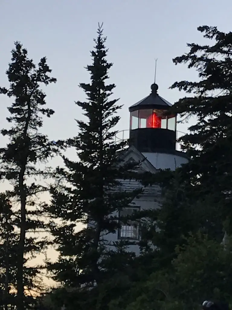 In the darkening light, a white lighthouse tower with a reddish-orange light on top is spotted through the pine trees