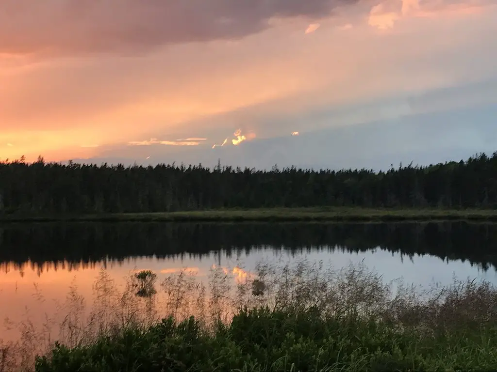 The flat, mirror-like water in a pond reflects the trees that surround it and the pink colors of the setting sun lighting up the gray clouds overhead. 