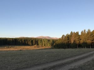 Morning on a meadow ringed by trees. The sun is just coming up and is shinning on the mountains in the background.