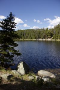 A small lake, surrounded by forest