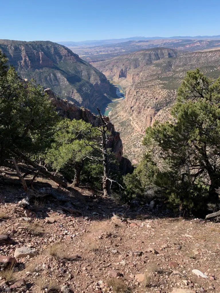 A narrow river valley in a desert landscape as seen from above. Short trees are in the foreground while a thin, green river can be seen far below.