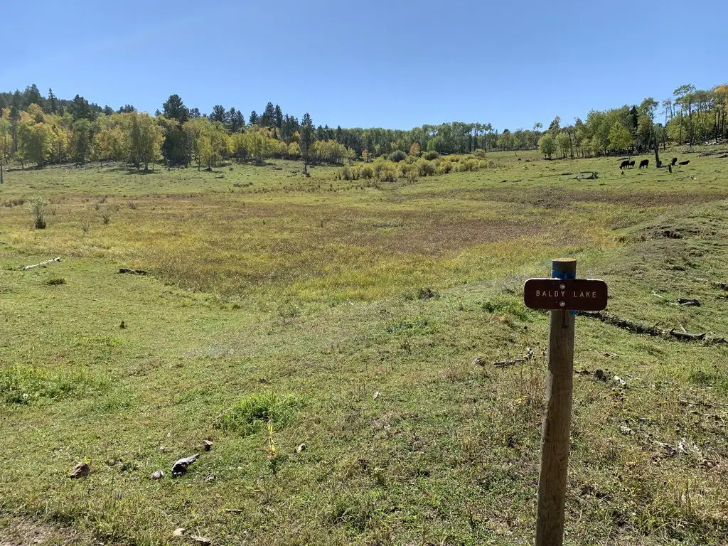 A green meadow with trees in the background with a wooden sign that reads, "Baldy Lake"