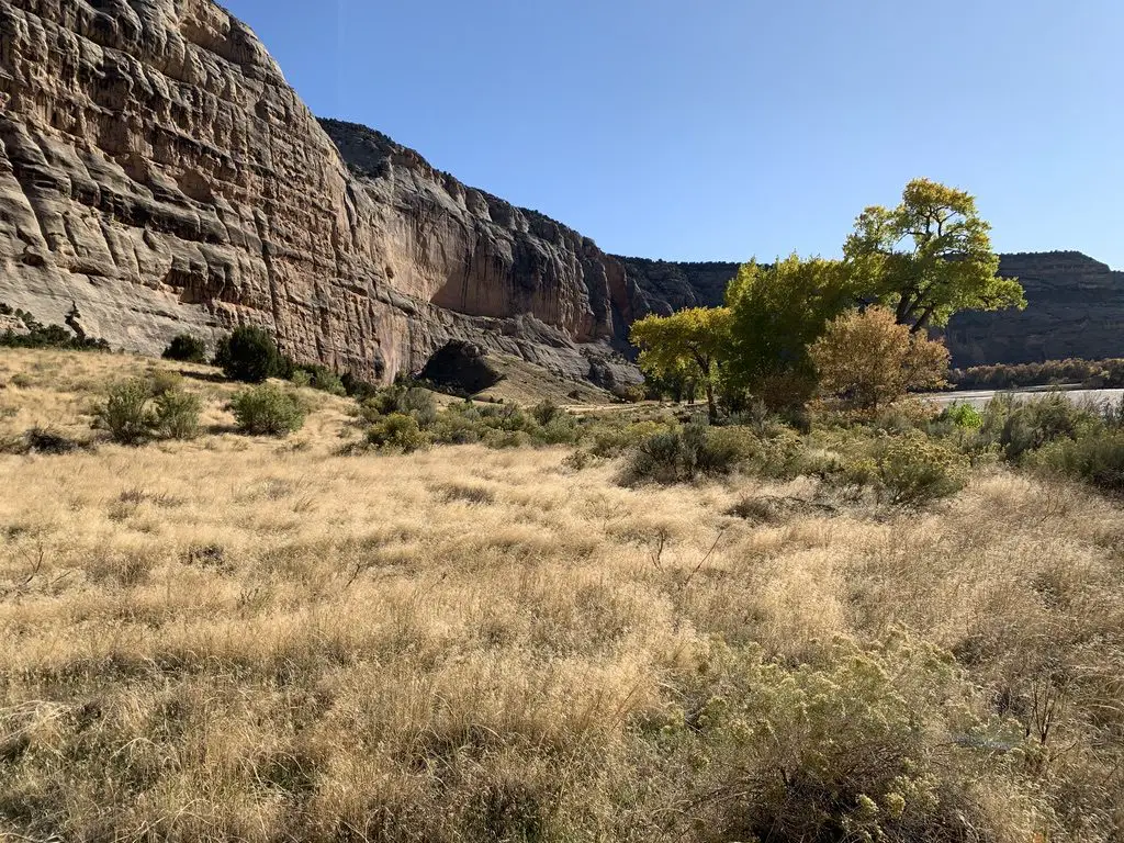 A dry, yellowed meadow in a desert landscape and rock rising in the background