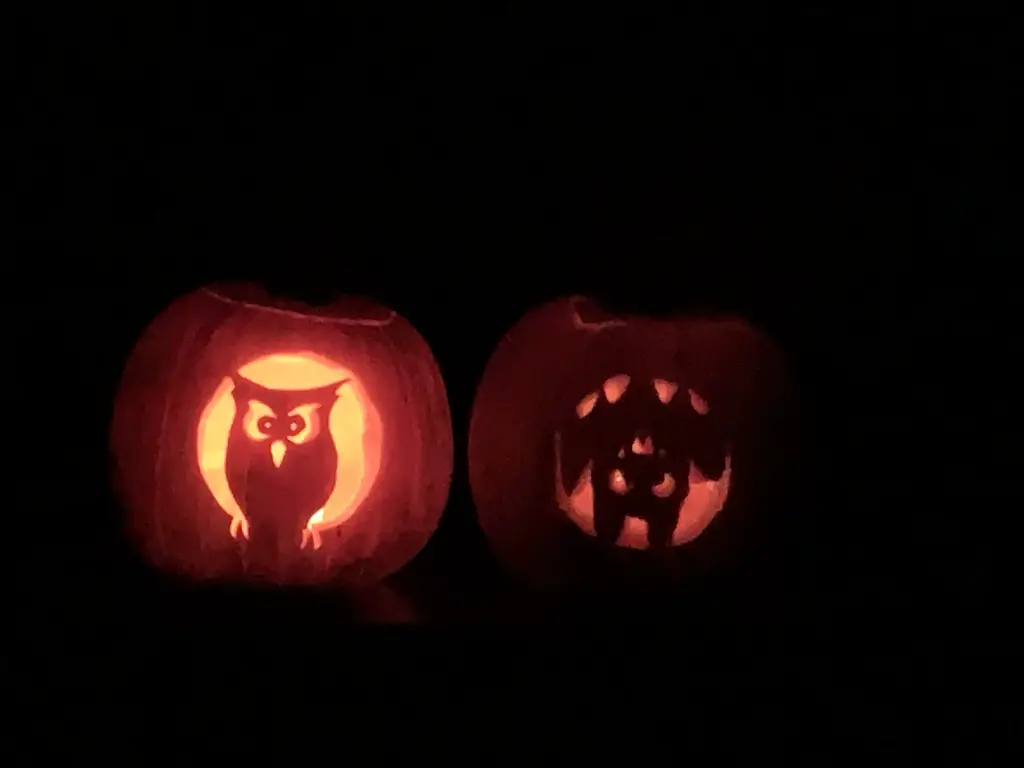 Two carved pumpkins, one an owl, the other an upside-down bat, are lit from within and glow against a black background.