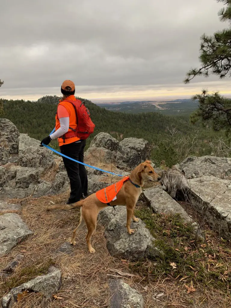 The back view of a woman wearing hiking gear, standing on an overlook surrounded by rocks and boulders. She is looking over the overlook at trees and prairie far in the distance. A dog wearing an orange vest stands on a rock near her, all under a cloudy sky. 