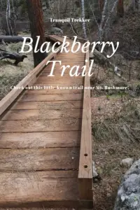 A boardwalk in the woods with the title "Blackberry Trail"