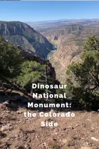 A narrow river valley in a desert landscape as seen from above. Short trees are in the foreground while a thin, green river can be seen far below. Pin reads, "Dinosaur National Monument: the Colorado Side"