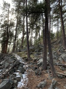 Hiking trail in the forest with a few spots of snow