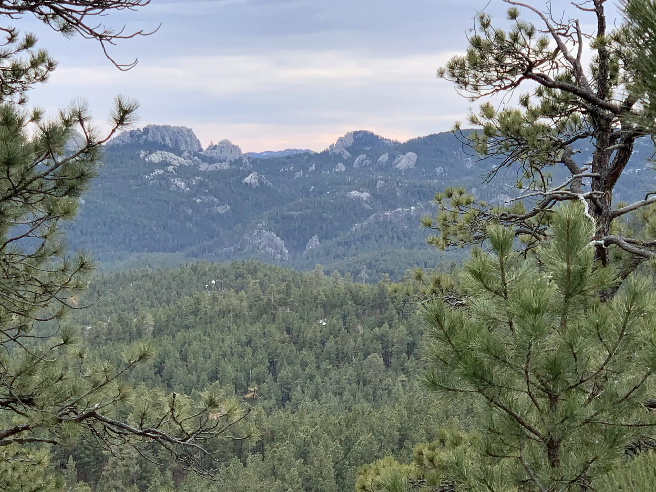 Expansive view over pine trees with tree-covered, rocky mountains rising in the background.