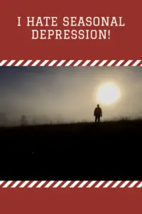 A dark silhouette of a person stands on top of a dark silhouette of a hill with the sun cutting through the fog behind them. Pin reads, "I hate seasonal depression!"