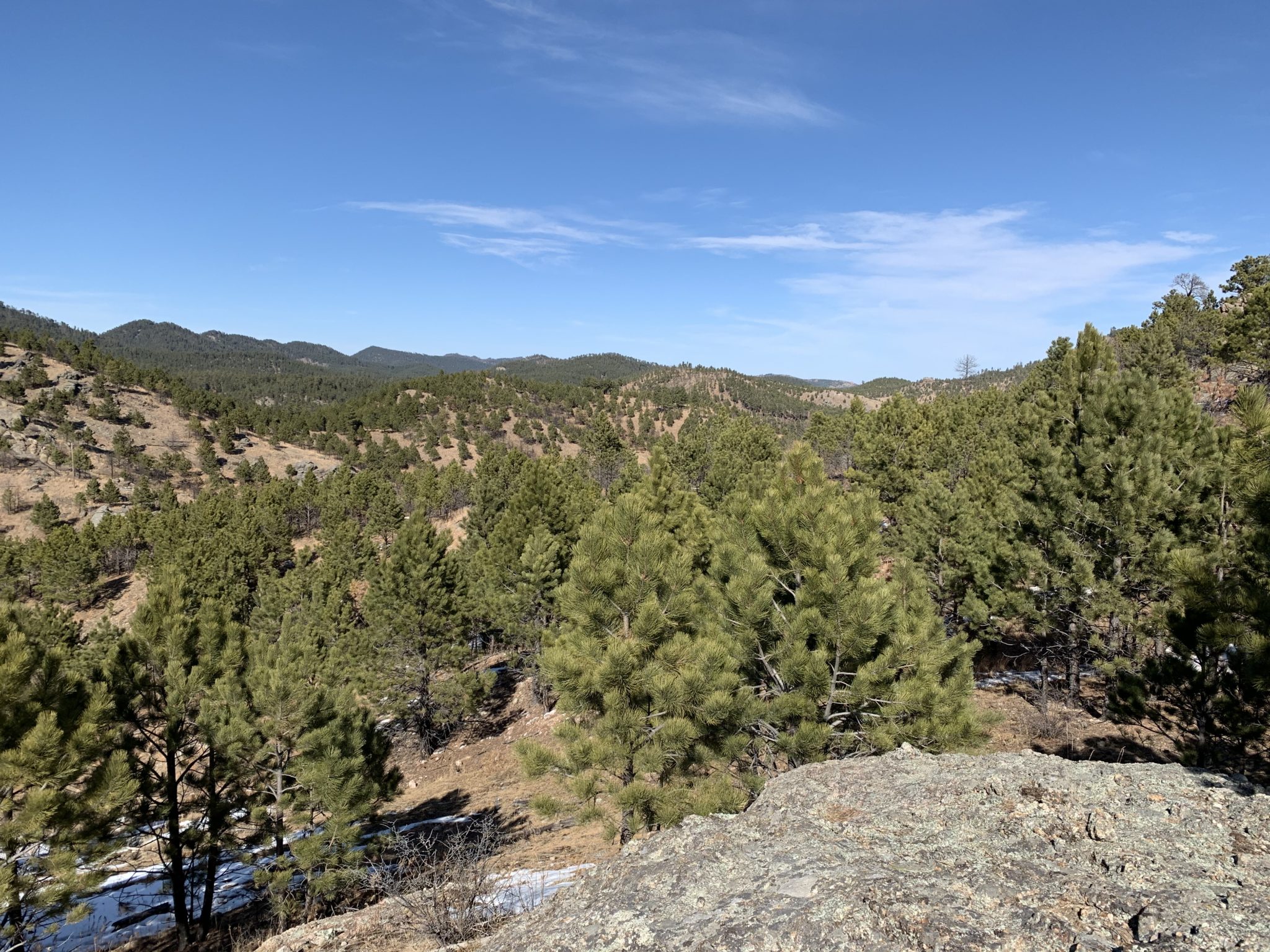 Centennial Trail: Badger Clark Trailhead to French Creek : Tranquil Trekker