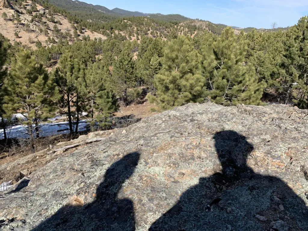 The shadows of two people are visible on a large rock. Behind the rock, many pine trees in the foreground with tree-covered mountains in the background, all under a blue sky.