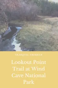 A winter scene. A small, icy creak meanders through a brown-grass meadow with bare trees on its banks and green pine trees in the background. Pin reads, "Lookout Point Trail at Wind Cave National Park"