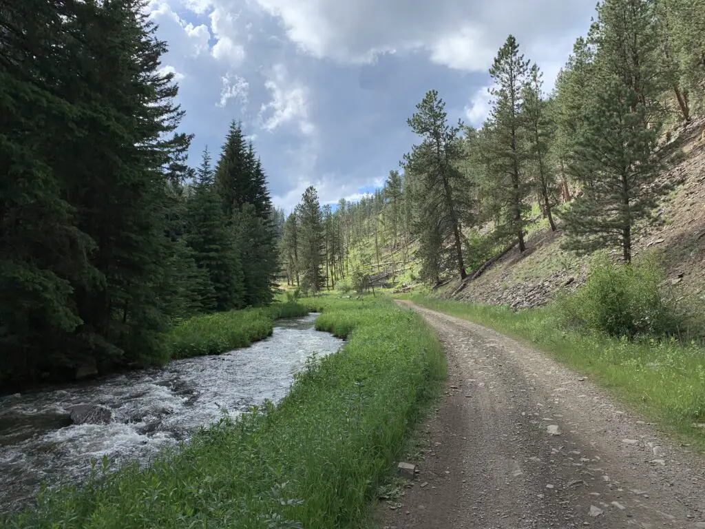 A dirt lane runs along a creek and near a hill with pine trees on both sides.