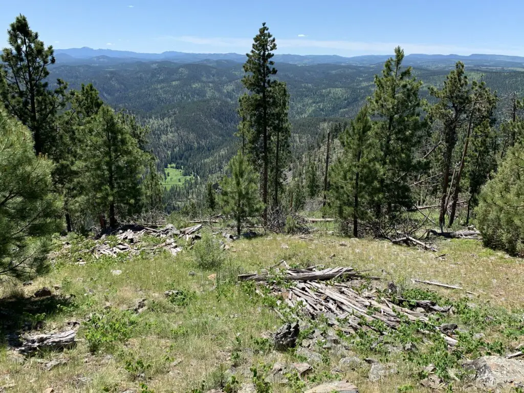 View down a mountain of tree-covered mountains in the distance, all under a clear, blue sky